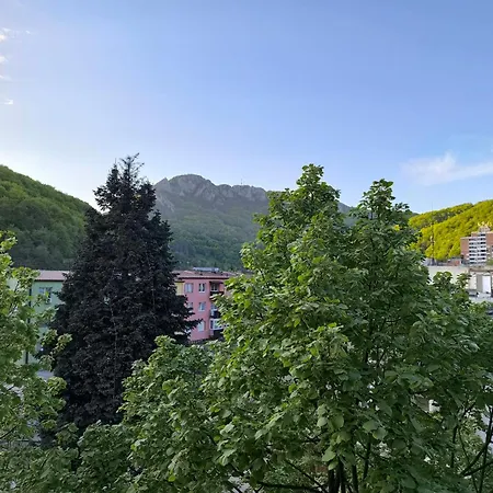 Apartament Vukovic, Majdanpek