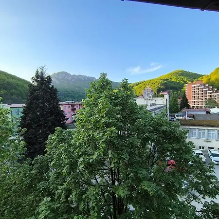 Vukovic, Apartament *