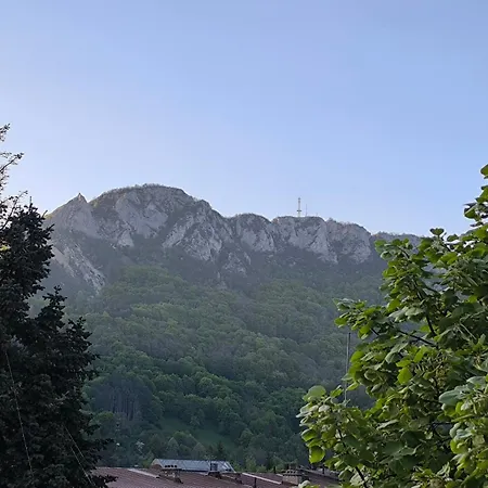 Vukovic,