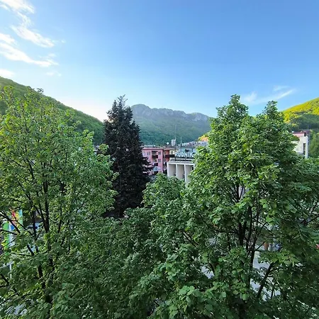 Vukovic, Apartament Majdanpek